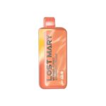 Lost Mary MT15000 Turbo 5%