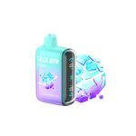Geek-Bar-Pulse-15000-Puffs-50mg–Cool-Mint